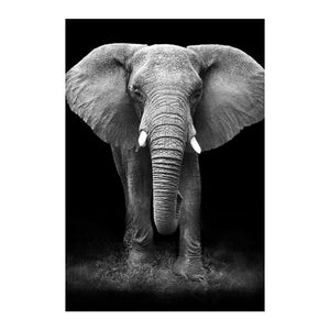 Black Style Elephant Art Wall Decor Canvas Pictures