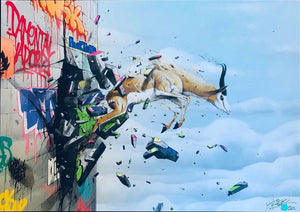 (2 Different Prints)Graffiti Abstract Prints Animal Peacock Wall canvas prints