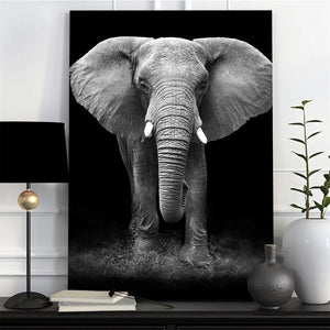 Black Style Elephant Art Wall Decor Canvas Pictures