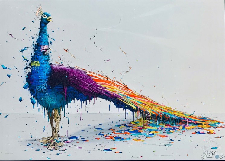 (2 Different Prints)Graffiti Abstract Prints Animal Peacock Wall canvas prints